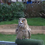 Cub Pack Holiday - Skreens Park 2012 - DSC_0170.jpg