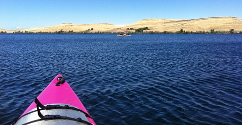 sunny day at the Thermolito Forebay near Oroville