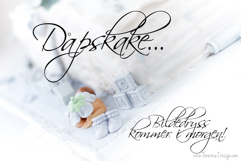 [d%25C3%25A5pskake%2520IMG_6449%255B10%255D.jpg]