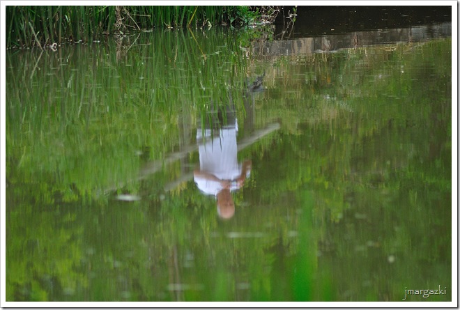 DSC_0824 DSC_0824