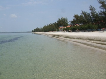 [DSCF8852%255B5%255D.jpg]