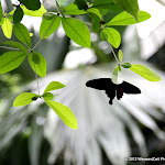 IMG_6226.jpg