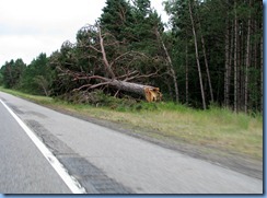 2652 Minnesota Hwy 2 East - storm damage 2652 Minnesota Hwy 2 East - storm damage
