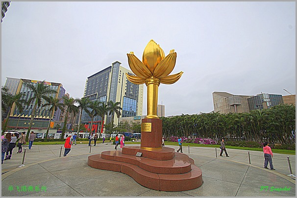 澳门金莲花 澳门金莲花
