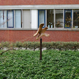 IMGP2144.JPG
