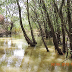 DSCN7241.JPG