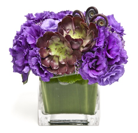 [Purple-Whimsy-IMG_2539_LowRes_500x50%255B2%255D.jpg]