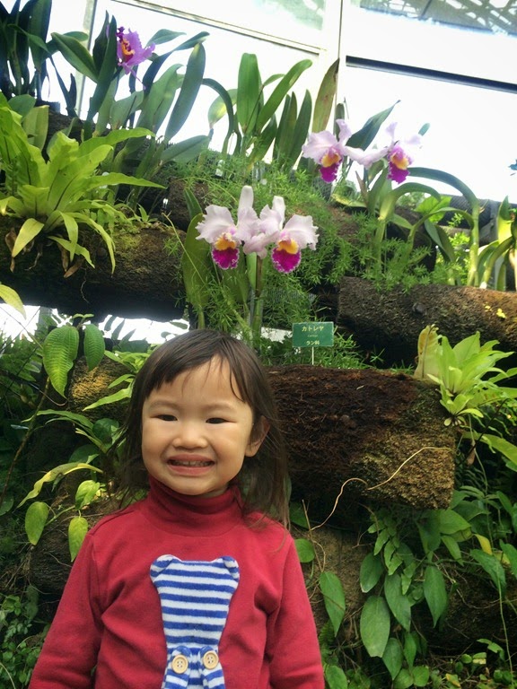 [botanical%2520gardens%2520%25284%2529%255B3%255D.jpg]