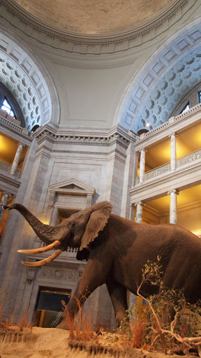 Inside of the Natural History Museum