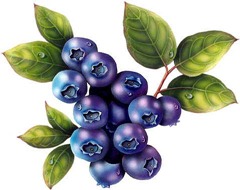 Blueberries Blueberries