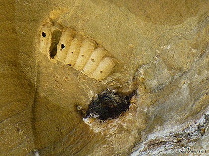 [P1060356%255B6%255D.jpg]