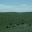 dscf5056.jpg