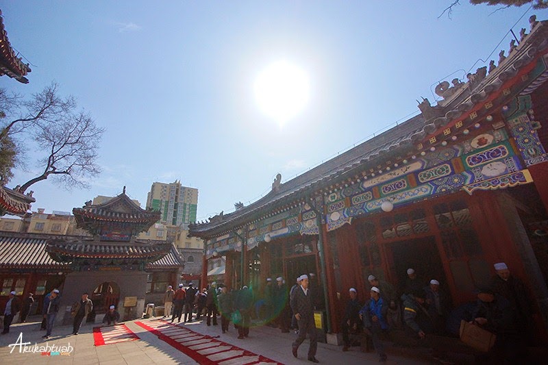 DSC02555 DSC02555