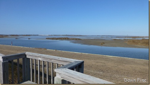 Pea Island NWR_039