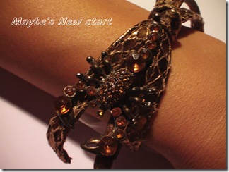 CAM_0517 CAM_0517
