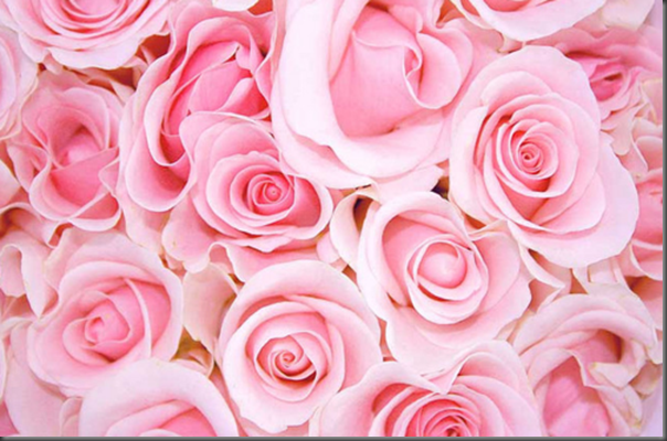 tumblr_lqbuutNKqR1qd36rxo1_500_large tumblr_lqbuutNKqR1qd36rxo1_500_large