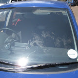 IMG_6611.JPG