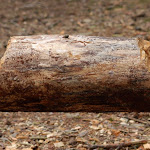 GFB2 Verkenners zomerkamp 2008 125.JPG