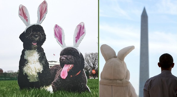 [bunny%2520ears%255B3%255D.png]