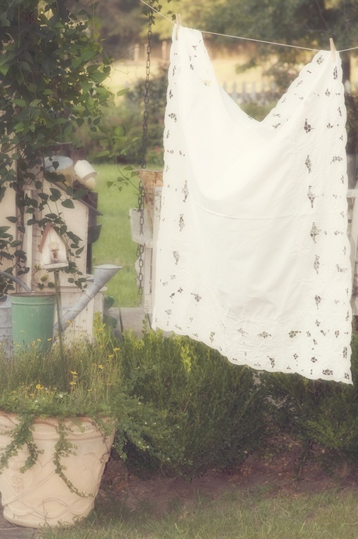 [clothesline-0386.jpg]