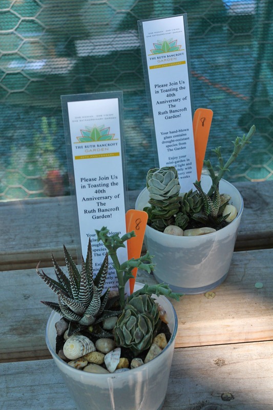 [120414_RBG_glass_planters3.jpg]