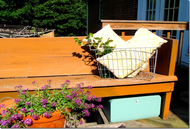 bench 1