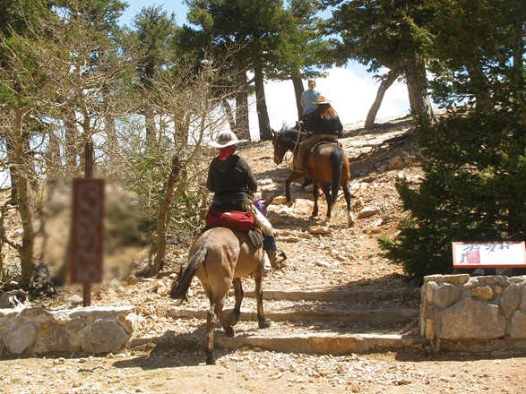 [IMG_05795.jpg]