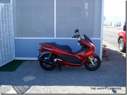 new scooter 025