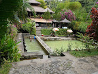 Lovina, Bali