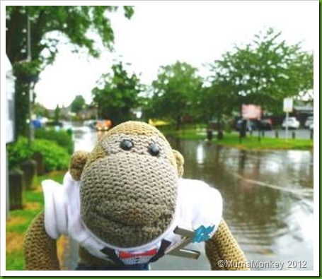 Bilbrook underwater