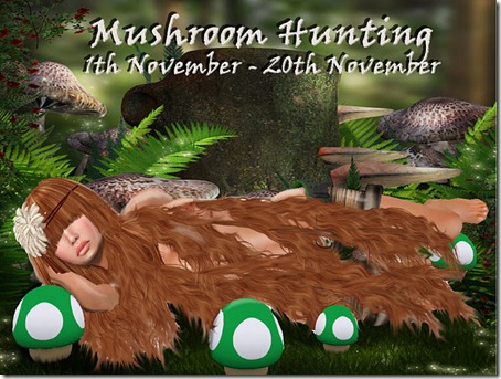 Mushroom Hunting