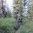 burnt-lake-18.jpg