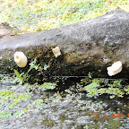 DSCN2961.JPG