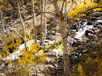 McGee Creek (Picture by Eng-Shien Wu)