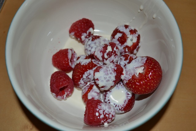DSC_0466 DSC_0466