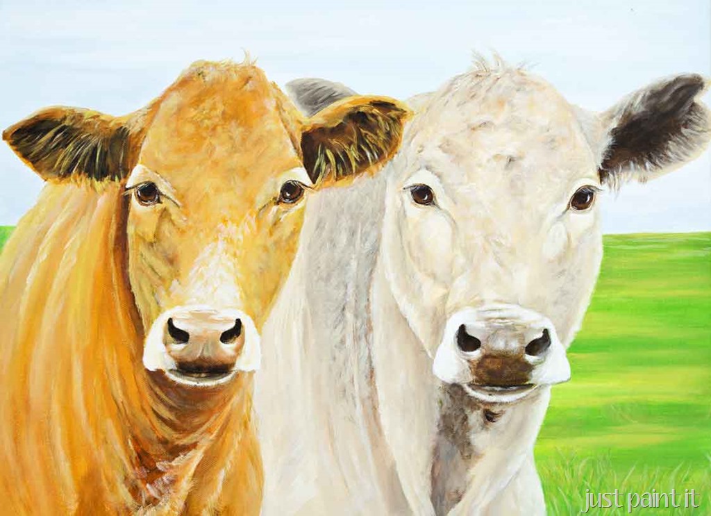 [Two-Cows-A2.jpg]