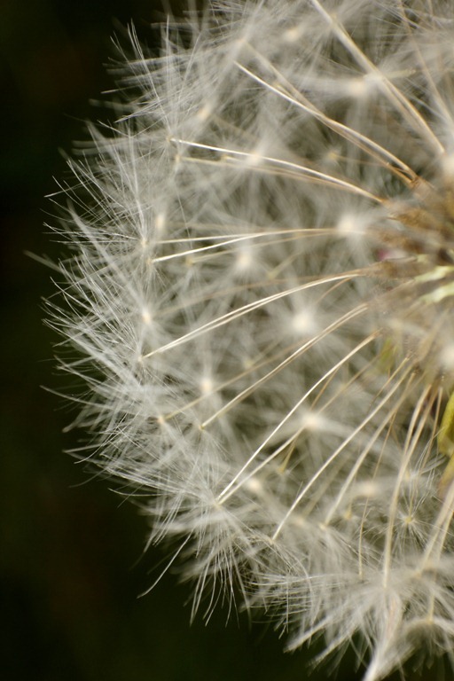 IMG_7873 IMG_7873