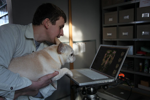 One little airbrush, and presto!  I'm fit for Dog Fancy magazine, or even Martha Stewart Living!