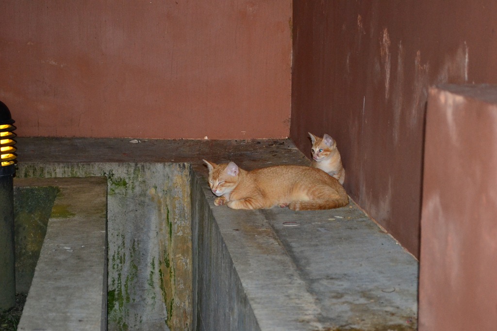 [DSC_0553%255B3%255D.jpg]