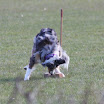 IMG_7653.JPG