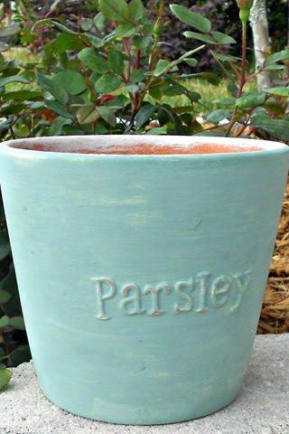 [DSCN1377-3%255B3%255D.jpg]