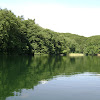 dsc03832.jpg