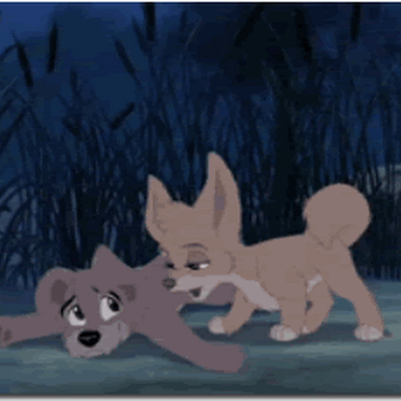 Vídeos: Cachorros Famosos do Cinema, Gibi e TV