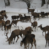 Photo -24 von 63