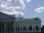 IMG00311-20090807-1333.jpg