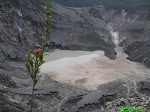 Tangkuban Perahu