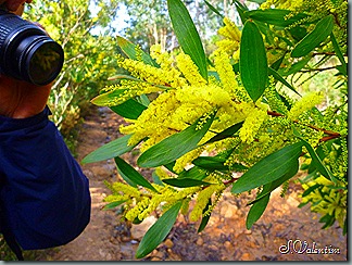 P1200278 P1200278