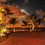 low res-9223.jpg