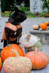 Sharkey, we really need to stand our gourd - I mean our ground!