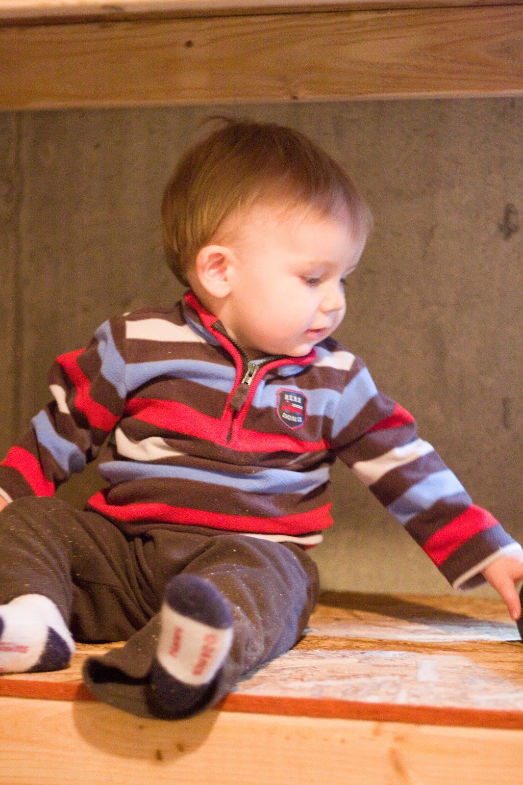 [shelves%2520jacob%255B3%255D.jpg]